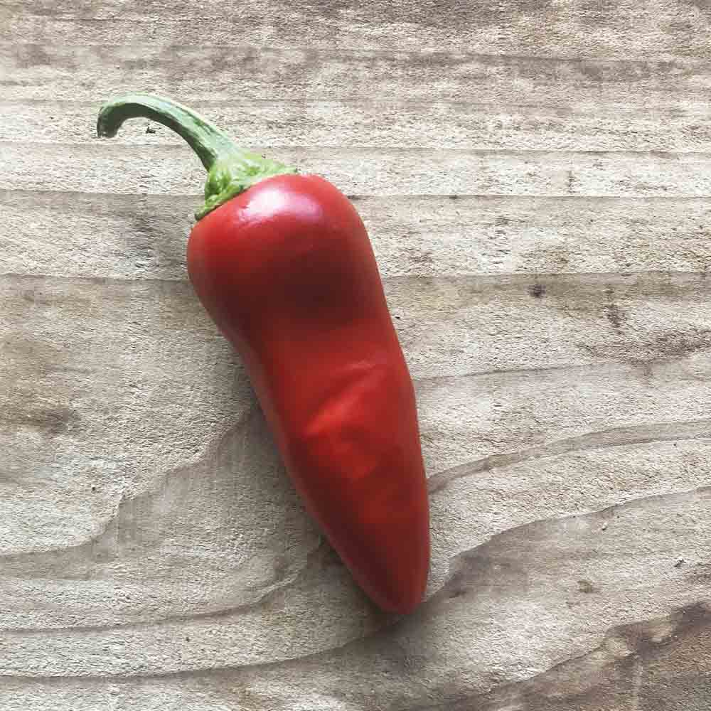 ferme-de-sainte-marthe-gorria-type-espelette-graines-piment-bio image 1