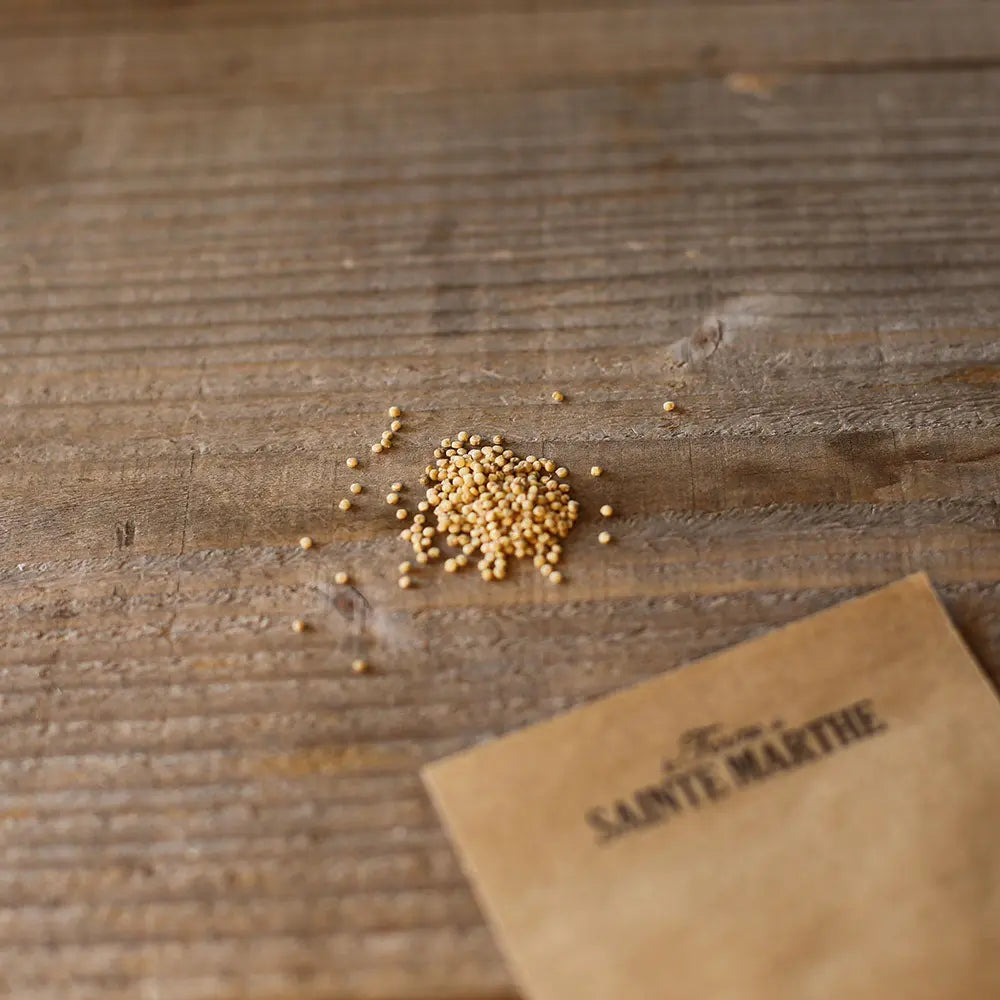 ferme-de-sainte-marthe-quinoa-graines-bio-super-aliment-150cm image 2