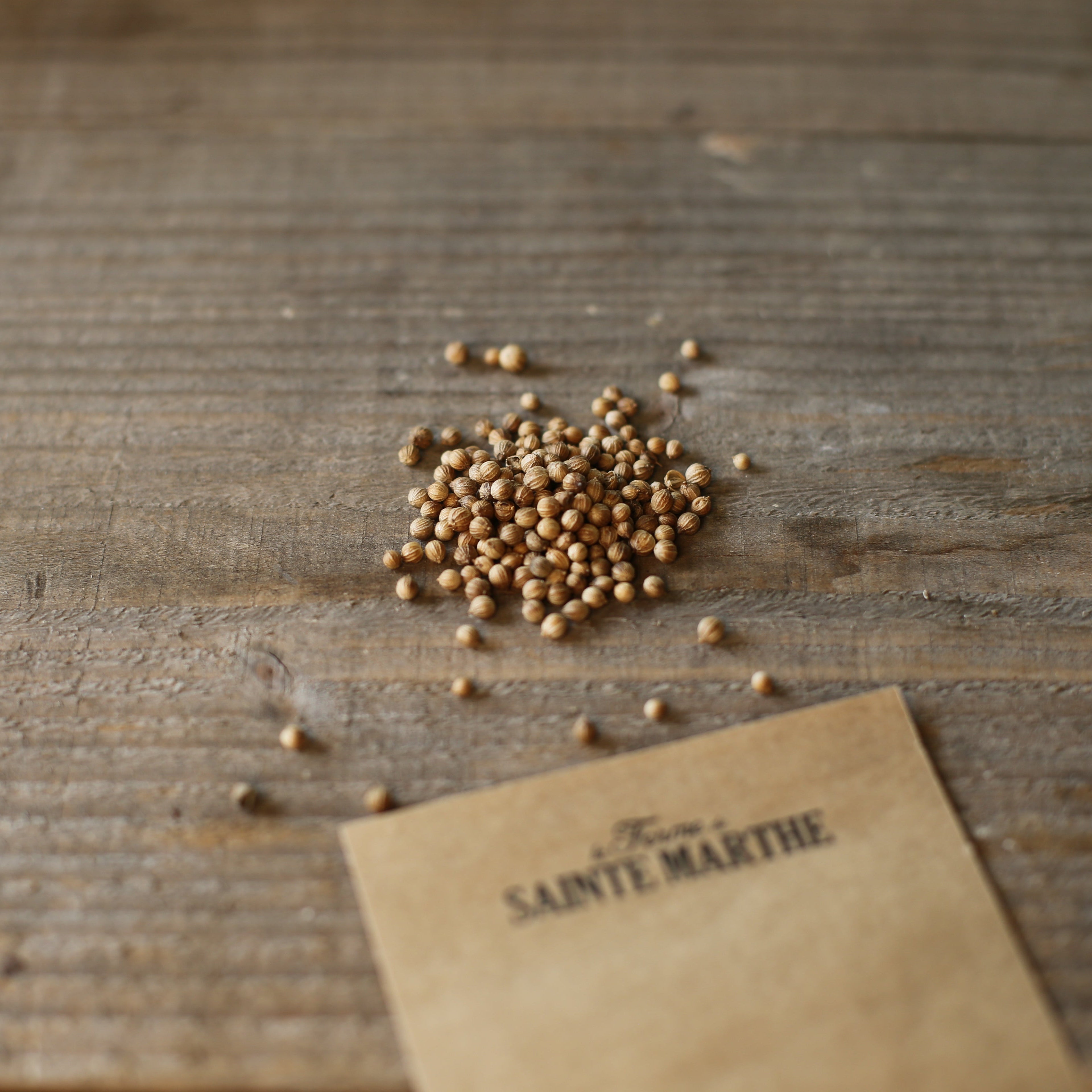 ferme-de-sainte-marthe-coriandre-ab-graines-aromatiques-sachet image 2