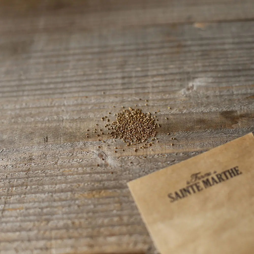 ferme-de-sainte-marthe-graines-potag-res-c-leri-couper-bio-sachet image 2