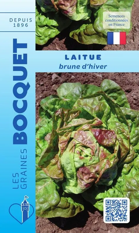 graines-bocquet-laitue-brune-d-hiver-graines-4-g-rustique image 1