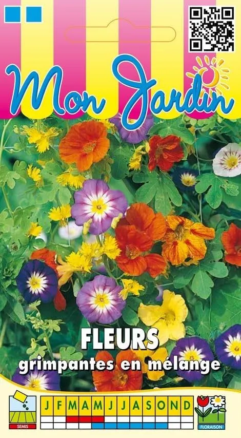 graines-bocquet-fleurs-grimpantes-en-m-lange-graines-5-g-annuelles image 1