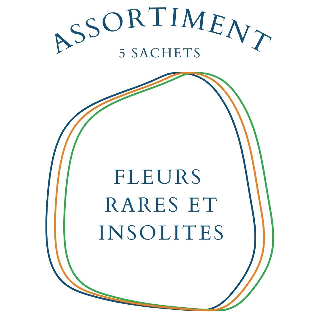 la-bo-te-graines-assortiment-fleurs-rares-5-sachets-bio image 1