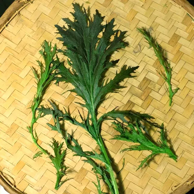 la-bo-te-graines-mizuna-rouge-bio-graines-l-gumes-salade-hiver image 1