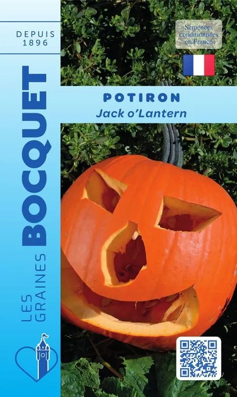 graines-bocquet-potiron-jack-o-lantern-graines-5-g-halloween image 1