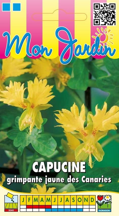 graines-bocquet-capucine-grimpante-jaune-des-canaries-2-g image 1