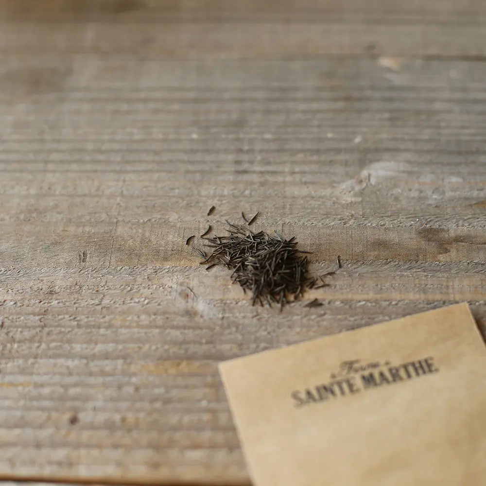 ferme-de-sainte-marthe-cerfeuil-commun-graines-aromatiques-bio image 2