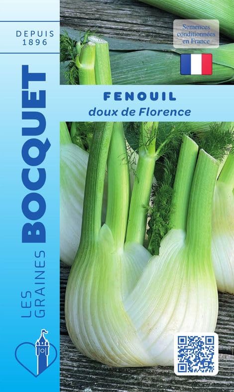 graines-bocquet-fenouil-doux-de-florence-graines-3g-bulbe image 1