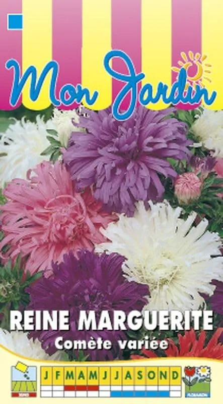 graines-bocquet-reine-marguerite-com-te-g-ante-vari-e-graines-fleurs image 1