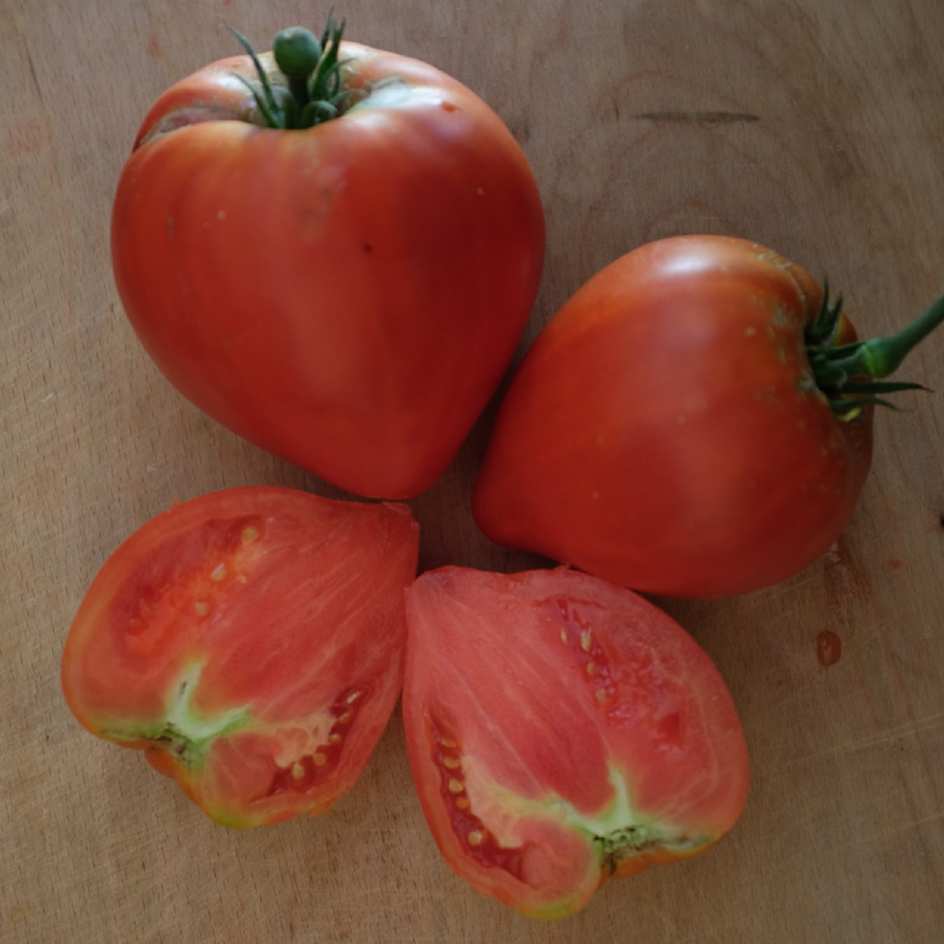 la-bo-te-graines-tomate-anna-russe-coeur-de-boeuf-graines-bio image 2