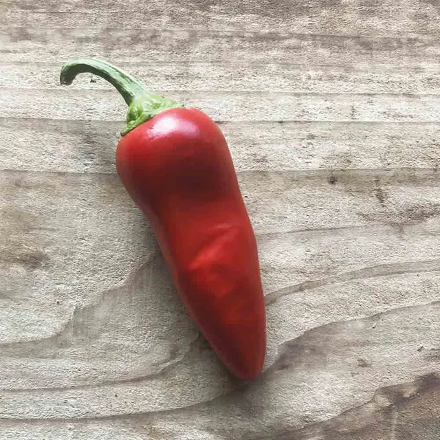 ferme-de-sainte-marthe-gorria-type-espelette-graines-piment-bio image 1
