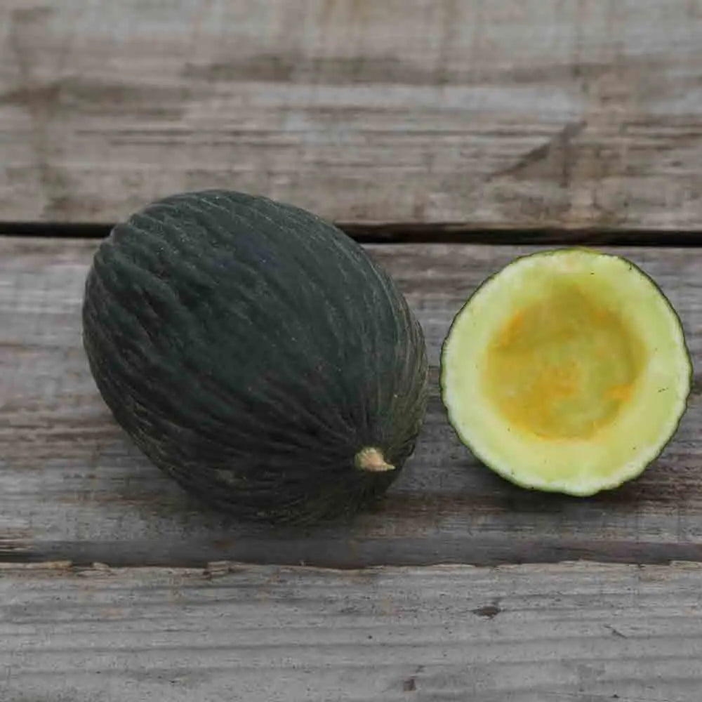 ferme-de-sainte-marthe-melon-vert-olive-d-hiver-graines-bio image 1