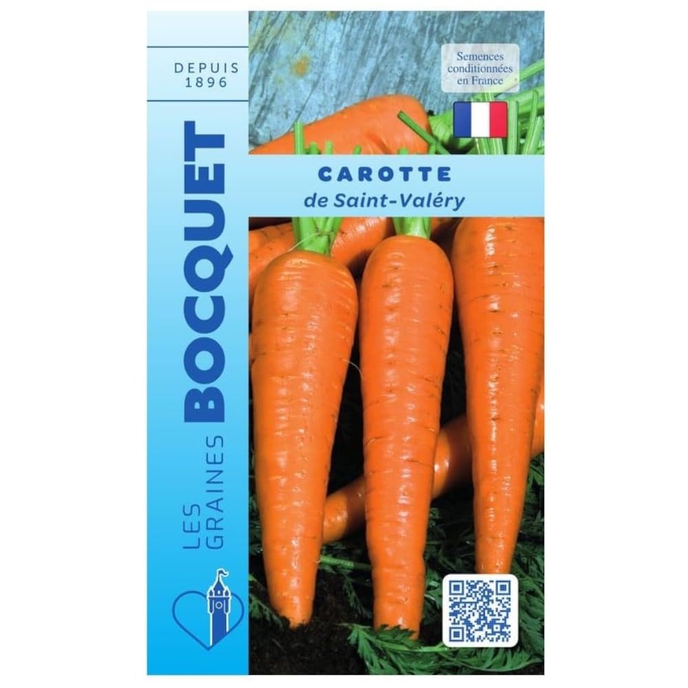 graines-bocquet-carotte-saint-val-ry-graines-potag-res-7-g-racine image 1