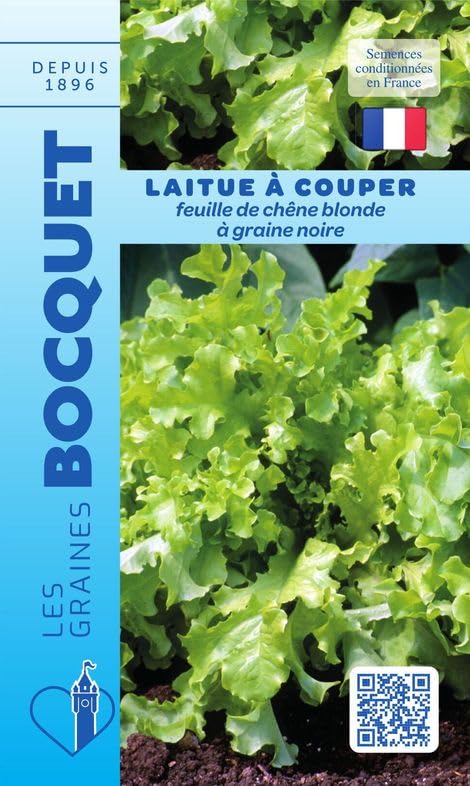 graines-bocquet-laitue-feuille-ch-ne-blonde-graines-4-g-tendre image 1