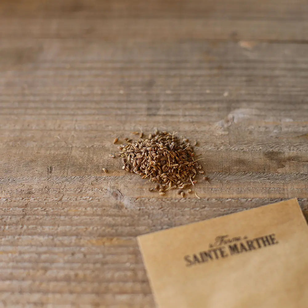 ferme-de-sainte-marthe-anis-vert-graines-bio-sachet-condiment image 2