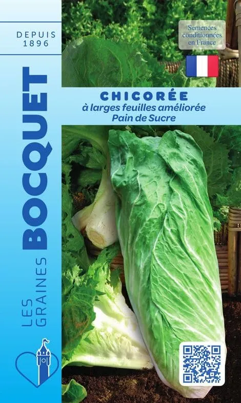 graines-bocquet-chicor-e-pain-de-sucre-graines-4-g-savoureuse image 1