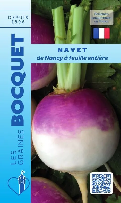 graines-bocquet-navet-de-nancy-feuille-enti-re-graines-6-g-pr-coce image 1