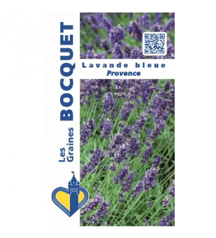 graines-bocquet-lavande-blue-provence-graines-0-2-g image 1