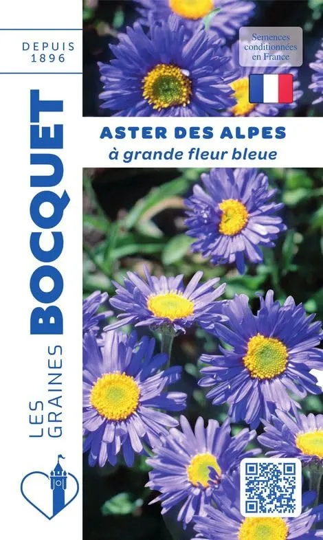 graines-bocquet-aster-des-alpes-graines-fleurs-0-3g-bleue-vivace image 1