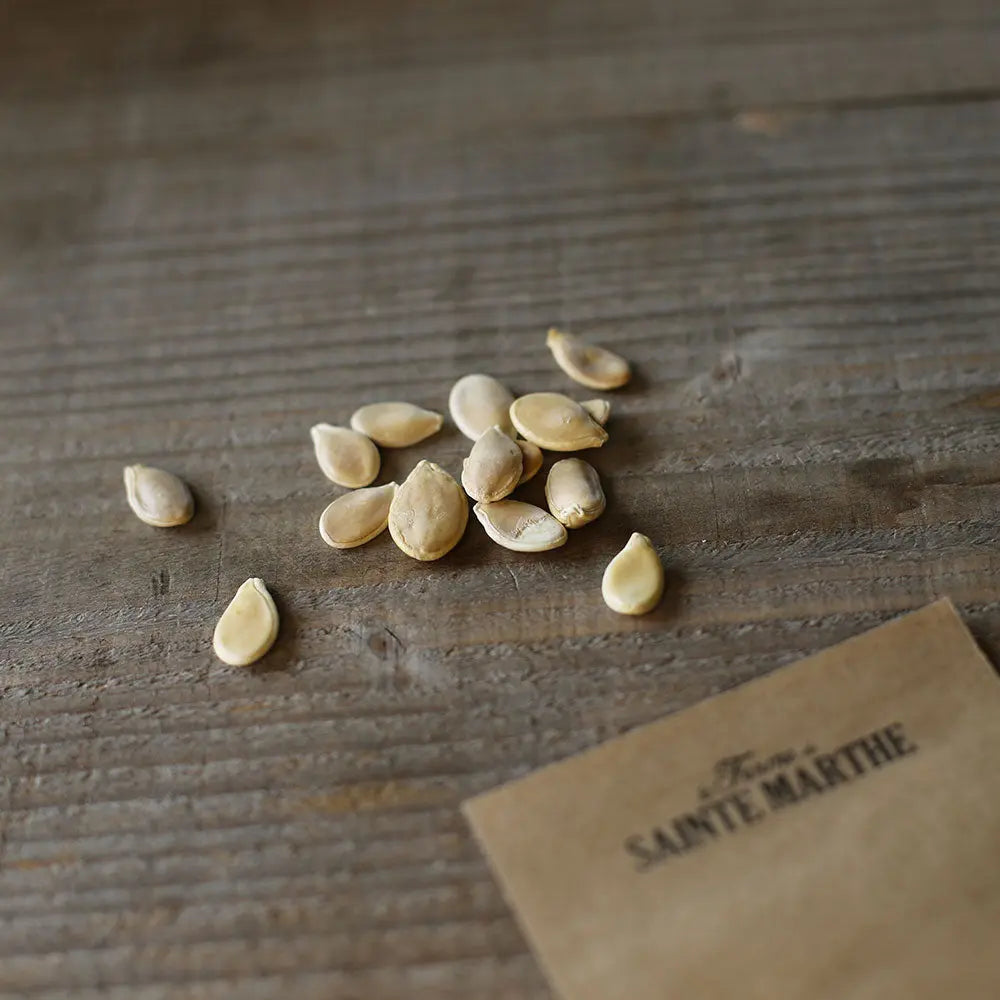 ferme-de-sainte-marthe-graines-potiron-vert-olive-sachet-bio image 2