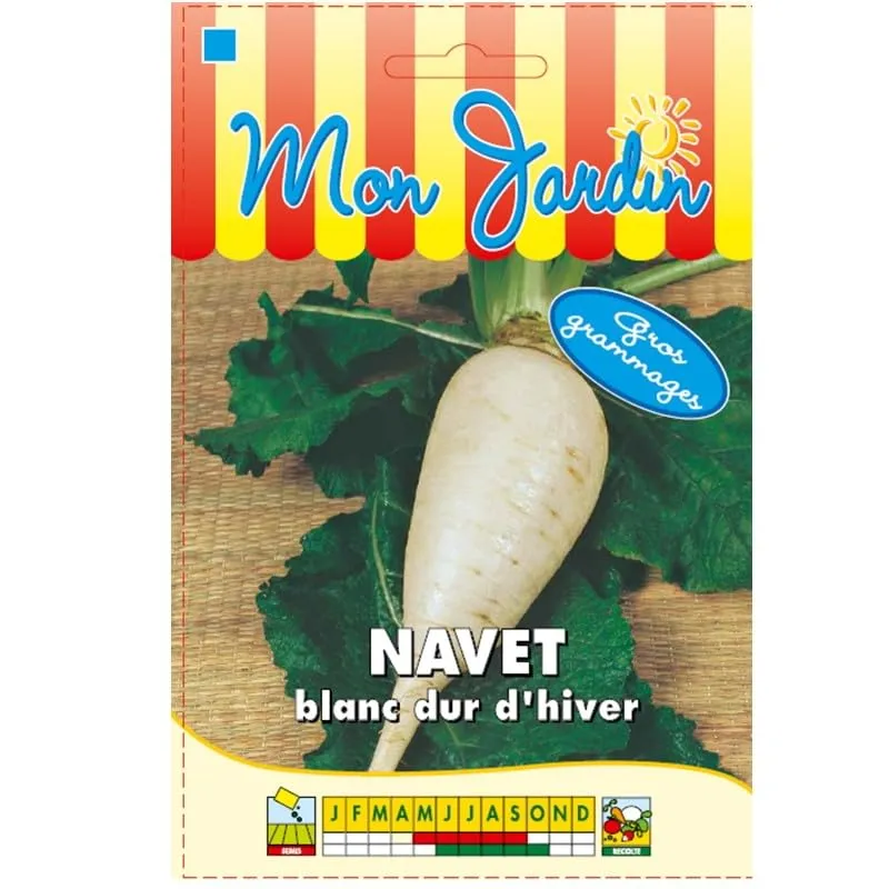 graines-bocquet-navet-blanc-dur-d-hiver-graines-15g-gros image 1