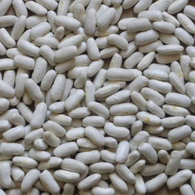 la-bo-te-graines-haricot-lingot-mogette-bio-graines-l-gumes image 1