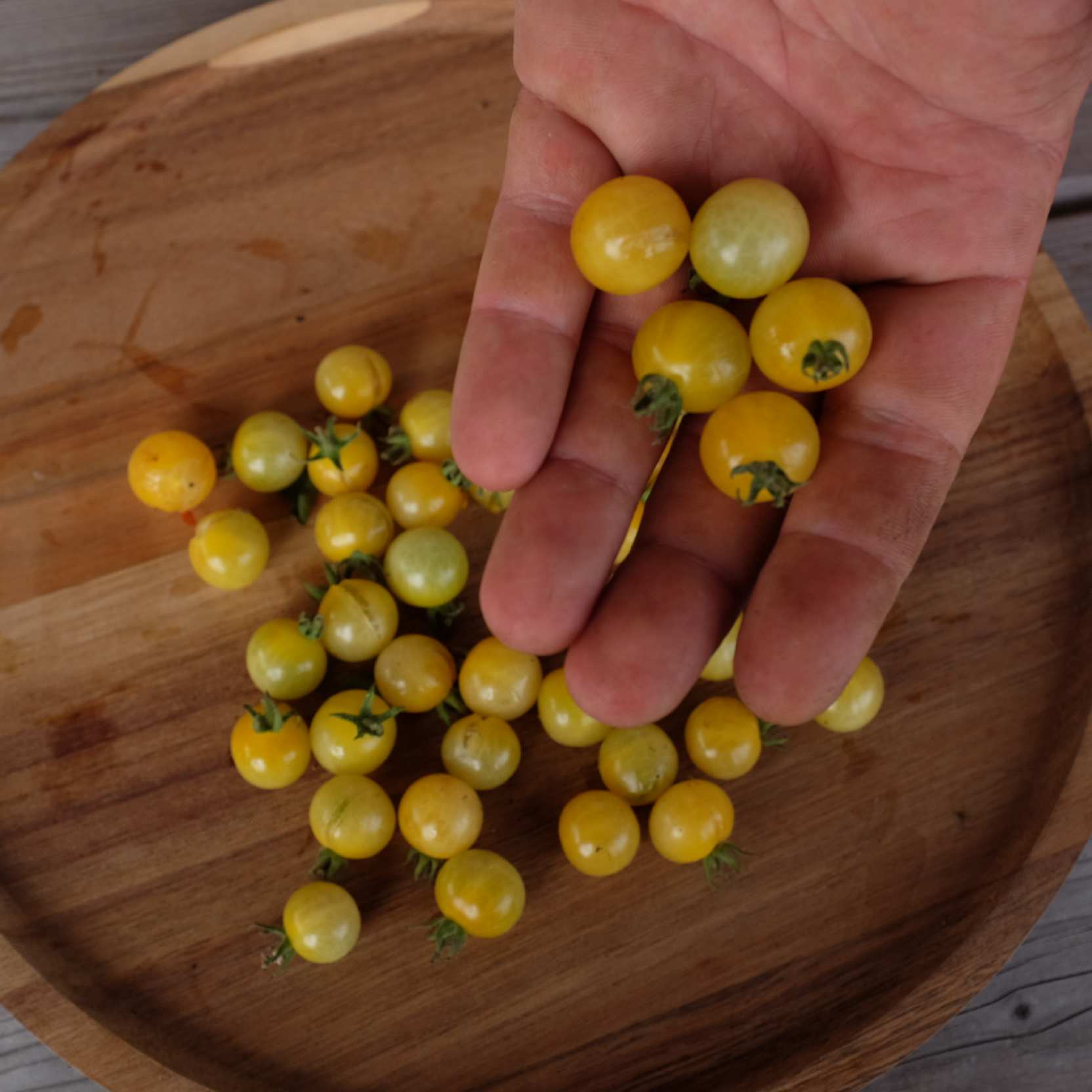 la-bo-te-graines-graines-l-gumes-white-currant-bio-pr-coce image 1