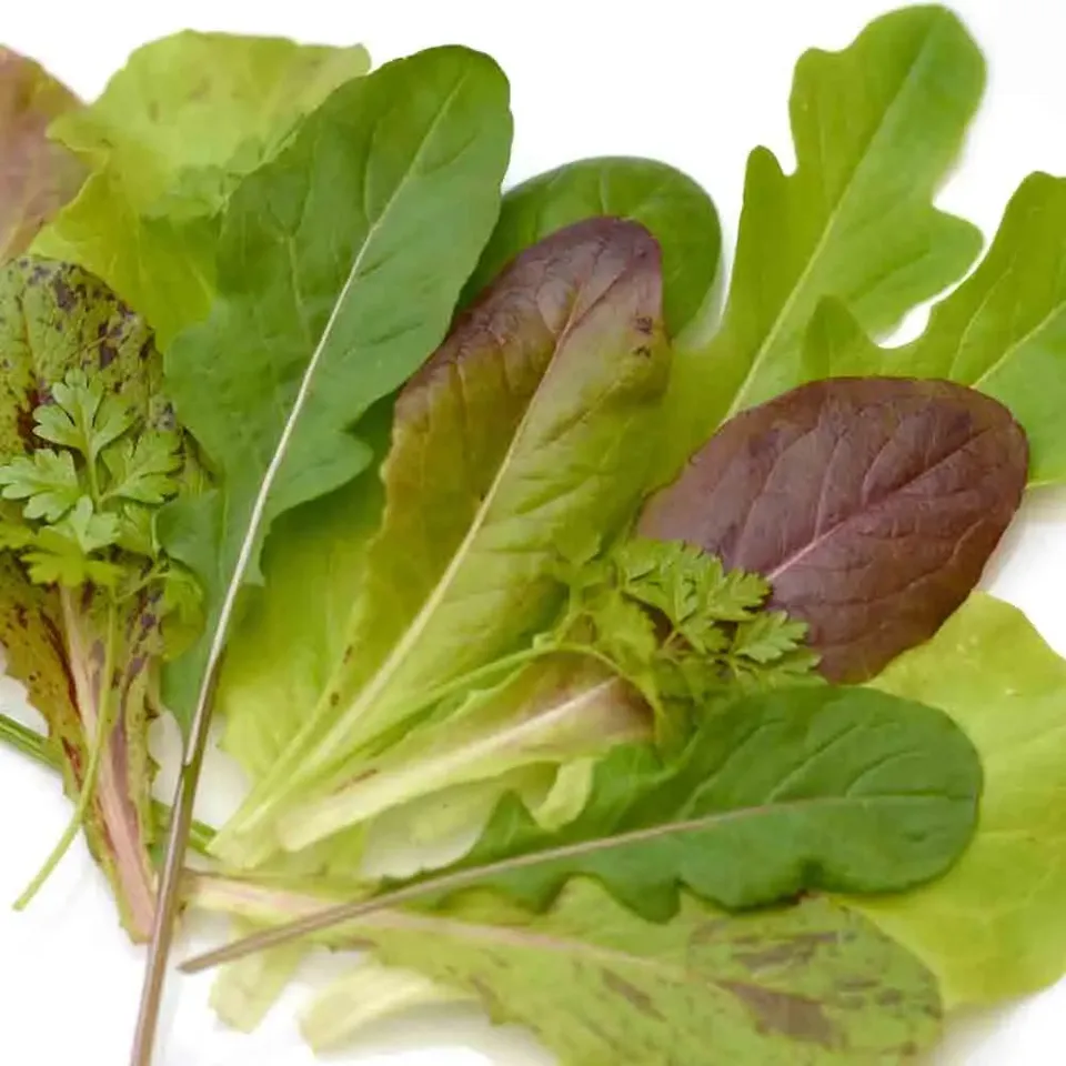 ferme-de-sainte-marthe-graines-mesclun-ni-ois-ruban-3m-bio image 1