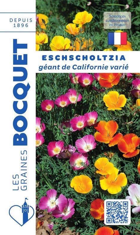graines-bocquet-eschscholzia-g-ant-californie-graines-fleurs-1-g-annuel image 1