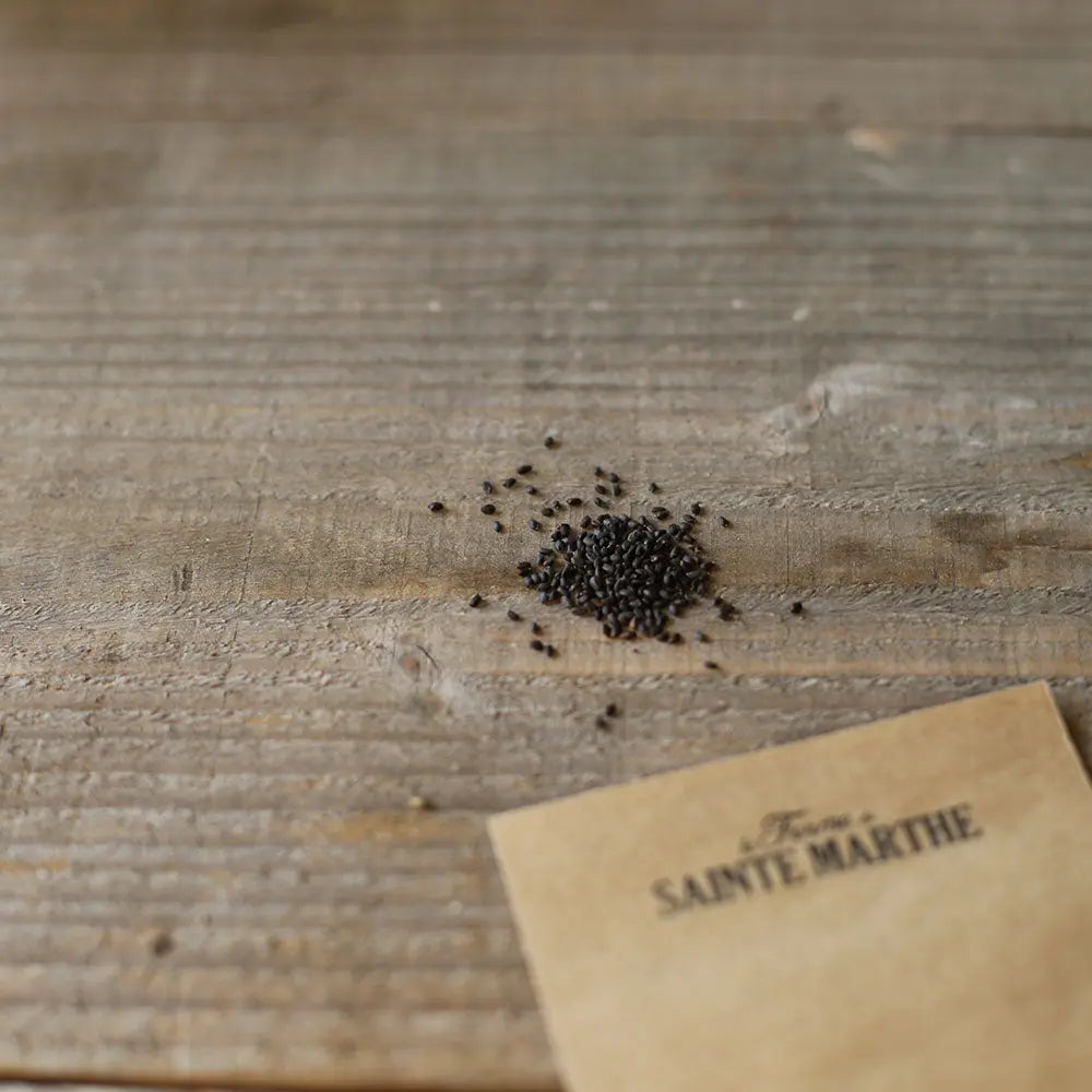 ferme-de-sainte-marthe-graines-aromatiques-basilic-m-lange-3-vari-t-s-ab image 2