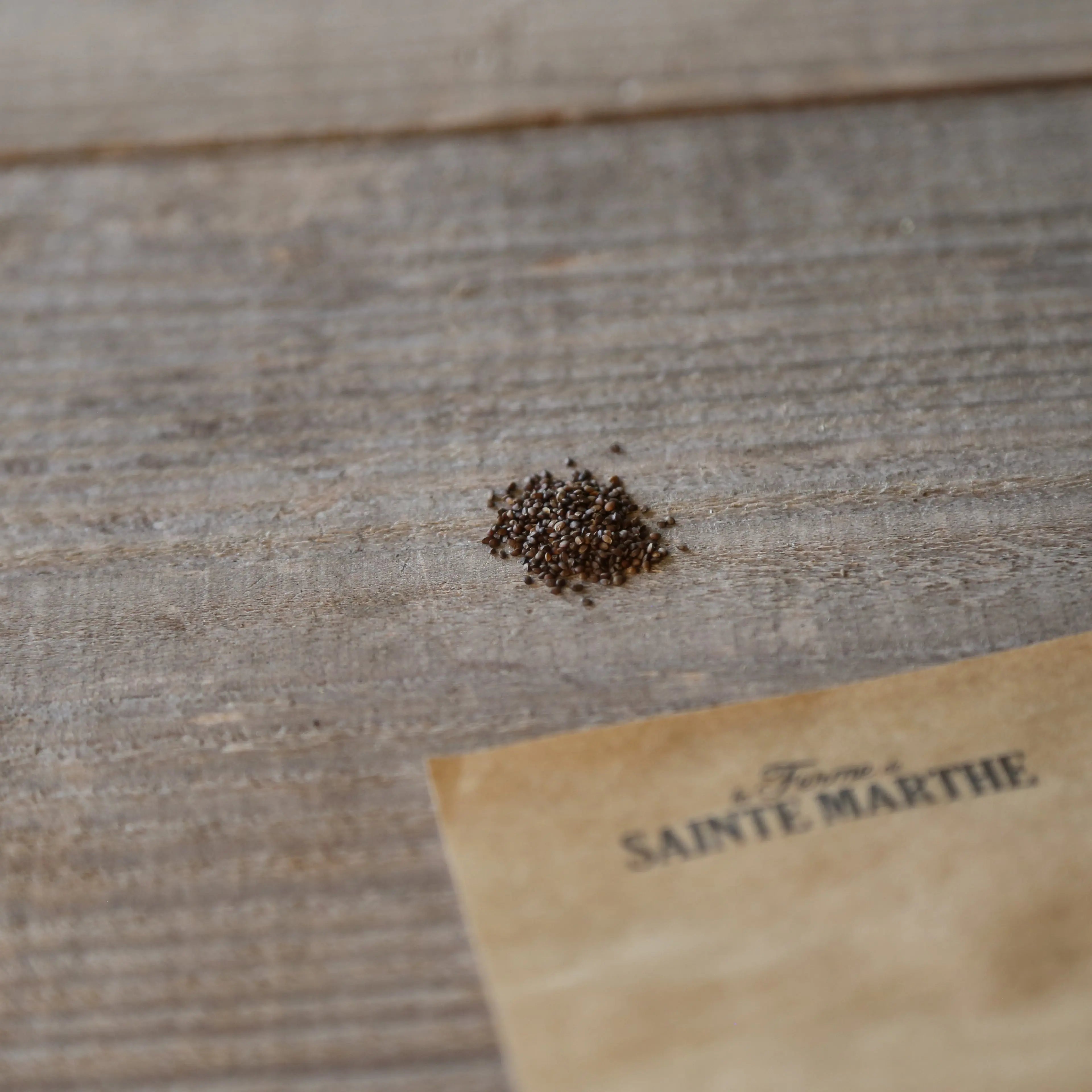 ferme-de-sainte-marthe-sarriette-vivace-graines-aromatiques-bio image 2