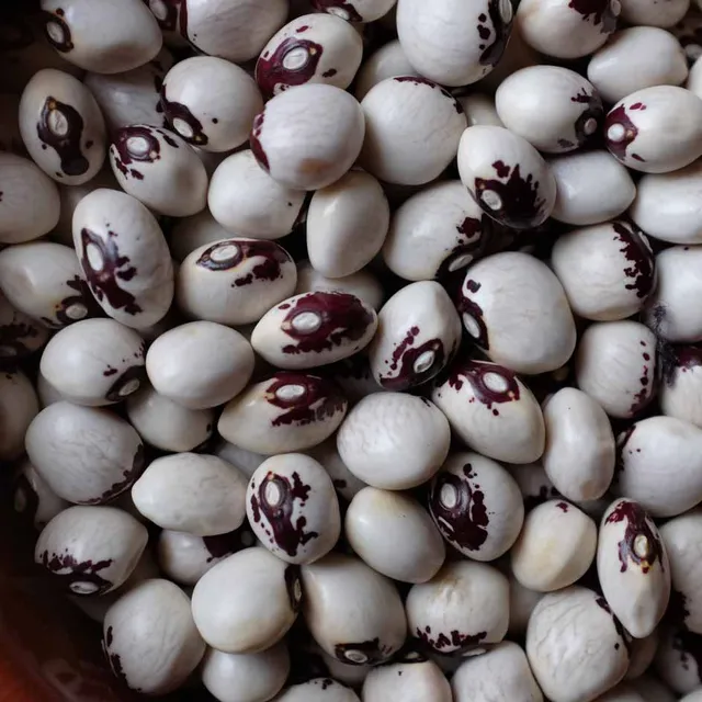 la-bo-te-graines-graines-l-gumes-haricot-saint-sacrement-bio-graines image 1