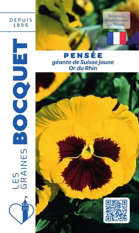 graines-bocquet-pens-e-or-du-rhin-graines-fleurs-0-5-g-jaune image 1