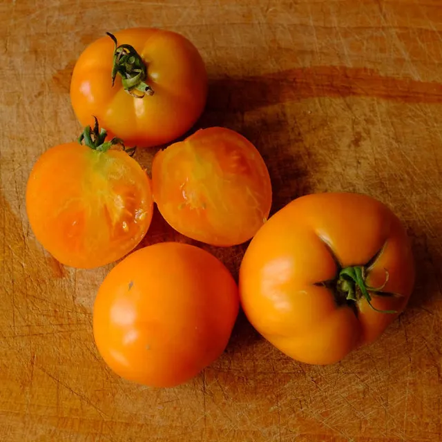 la-bo-te-graines-orange-queen-graines-tomate-bio-pr-coce image 1