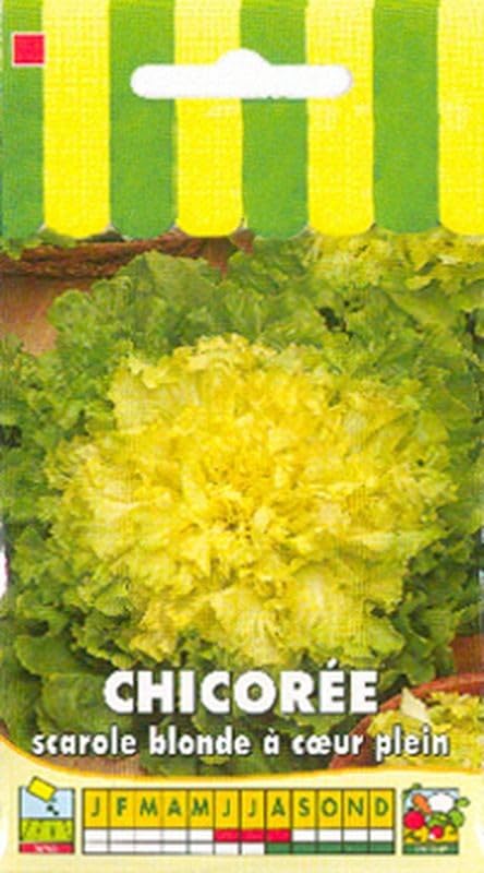 bocquet-chicor-e-scarole-blonde-coeur-plein-graines-3-g-salade image 1