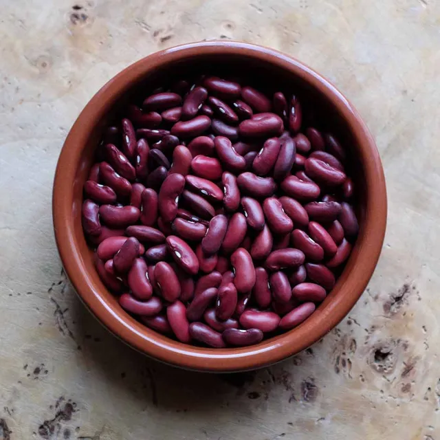 la-bo-te-graines-canadian-wonder-haricot-rouge-bio-grain-sec image 1