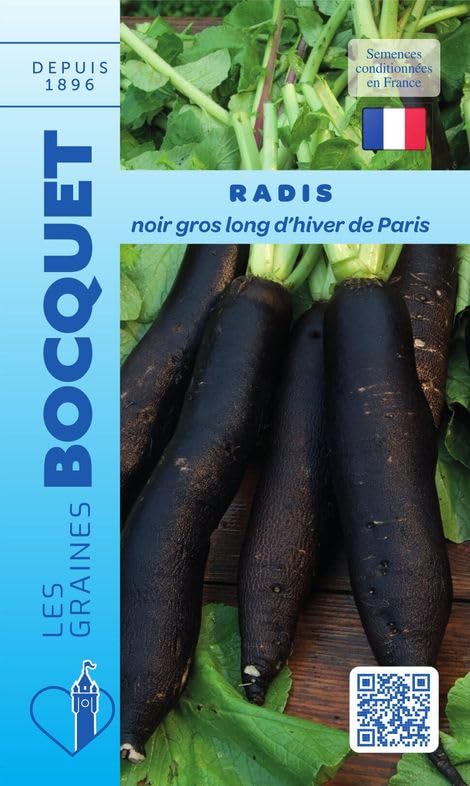 graines-bocquet-radis-noir-d-hiver-de-paris-graines-10-g image 1