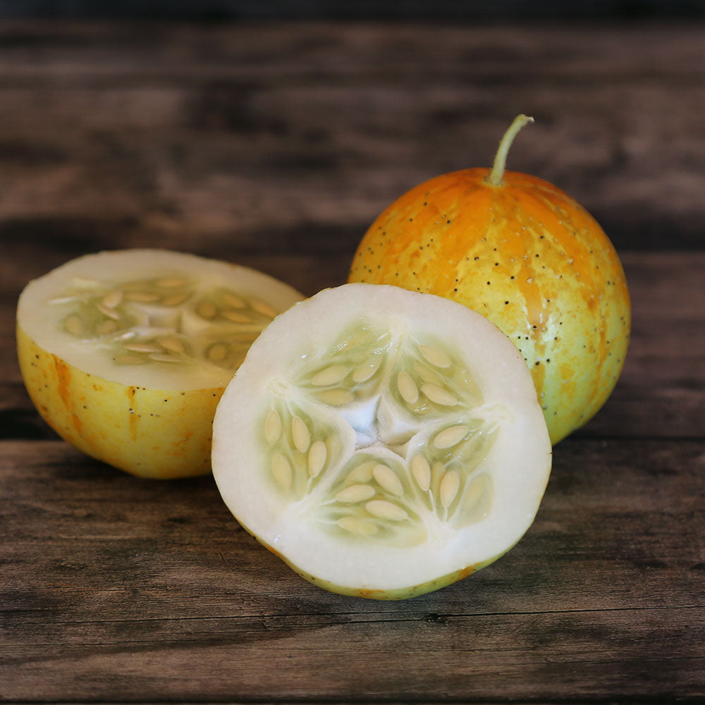 ferme-de-sainte-marthe-lemon-graines-concombre-jaune-citron-bio image 2