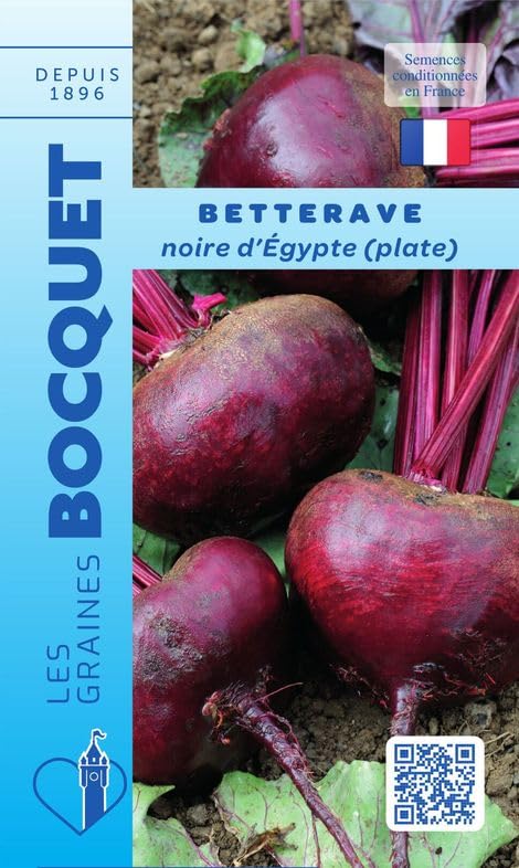 graines-bocquet-betterave-noire-d-egypte-graines-7-g-pr-coce image 1