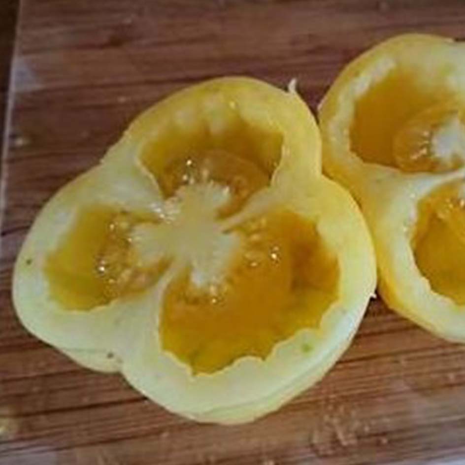 la-bo-te-graines-tomate-douchoua-pepper-graines-bio-farcir image 1