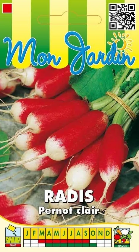graines-bocquet-radis-pernot-clair-graines-potag-res-10-g-rapide image 1