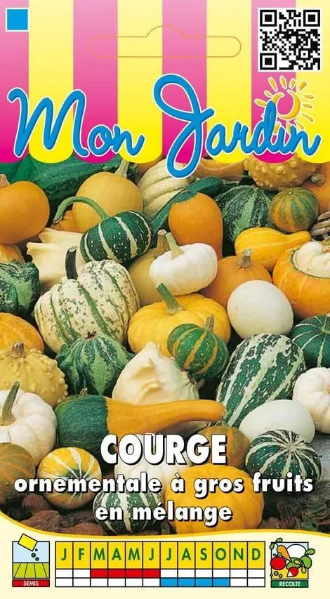 graines-bocquet-courge-ornementale-graines-m-lange-3g-d-co image 1
