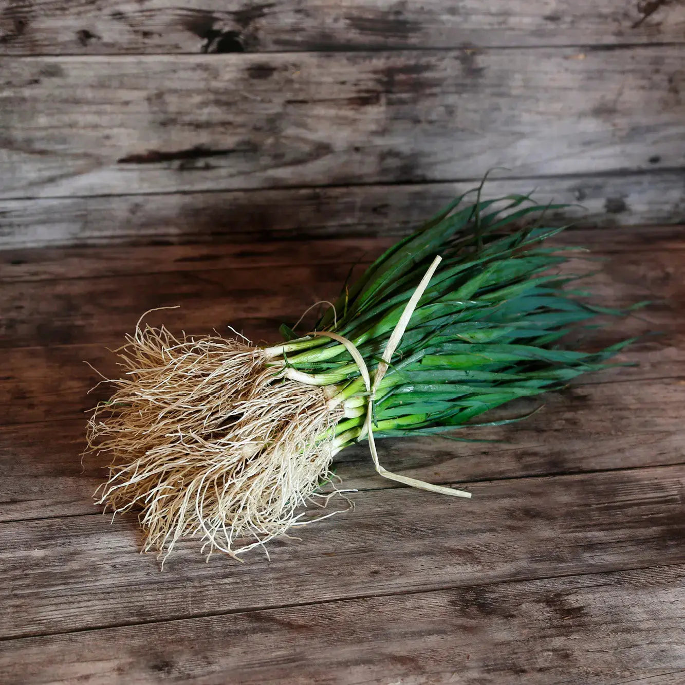 ferme-de-sainte-marthe-poireau-st-victor-25-plants-bio image 1