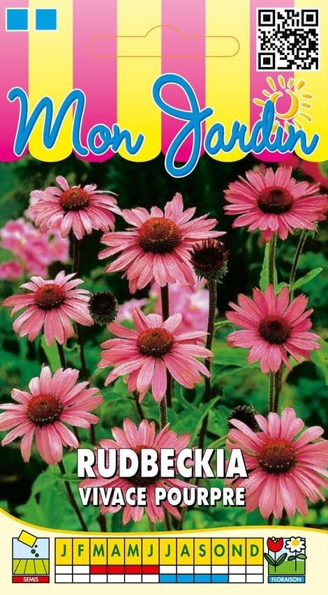 graines-bocquet-rudbeckia-vivace-pourpre-fleur-vivace-1-g image 1