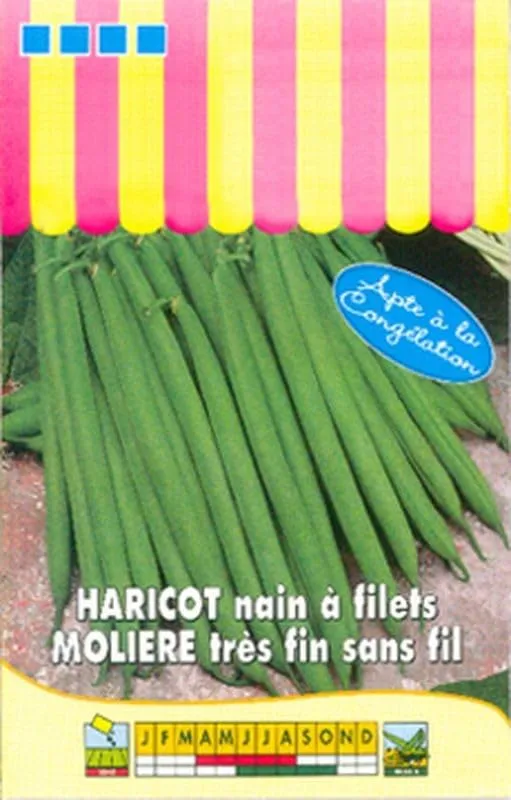 graines-bocquet-haricot-nain-moli-re-graines-potag-res-100-g image 1