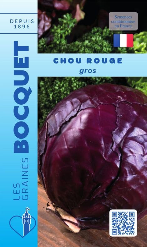 graines-bocquet-chou-rouge-gros-graines-potag-res-3-g-h-tif image 1