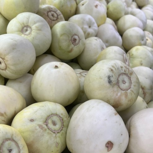la-bo-te-graines-melon-sakata-sweet-bio-graines-l-gumes-sucr image 2