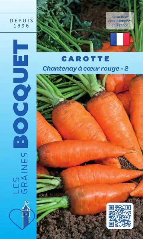 graines-bocquet-carotte-chantenay-c-ur-rouge-3-graines-potag-res-7-g image 1
