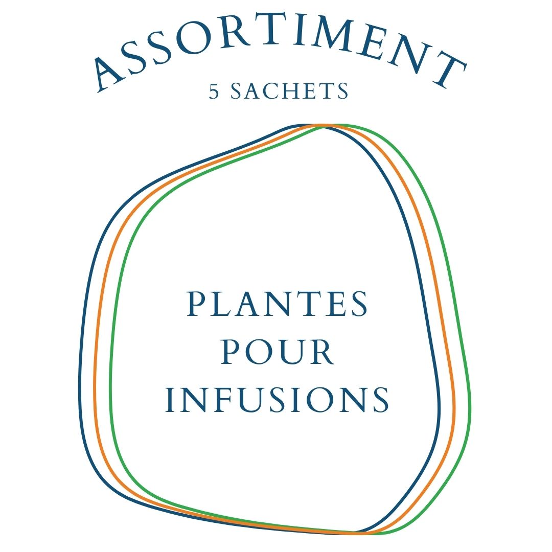 la-bo-te-graines-assortiment-plantes-infusions-5-sachets image 1