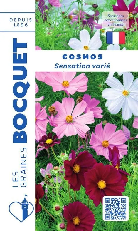 graines-bocquet-fleurs-cosmos-sensation-vari-graines-1-5-g-haute image 1